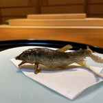 らん亭～ 美日庵 - 稚鮎、躍動感が凄い　まるで泳いでいるかの如し