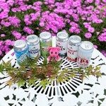 リカーマウンテン - ドリンク写真:ビール6本購入