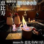 Musch - 