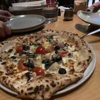 THE RIGOLETTO -  THE RIGOLETTO -