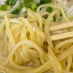 ぶんぷく 二代目 小島屋 - 麺アップ