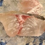 緒方 - ③黒星平鯵(別称:平鯵)(兵庫県明石産)
      黒潮に乗ってくる熱帯系鯵で夏のみ獲れる珍しい鯵、血合部分が大きく真鯵との違いが明白
      鬼鯵ほどではないが、脂のりも良く旨みと甘みがある