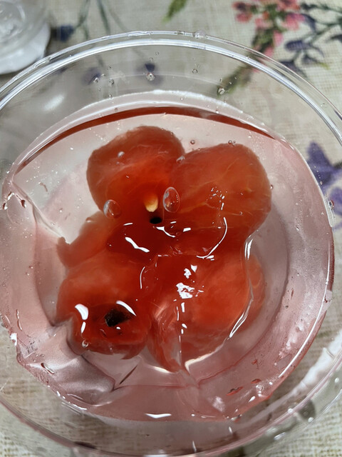 フルーツカフェ　YAMASAN（ヤマサン） - 原ノ町（カフェ）の写真