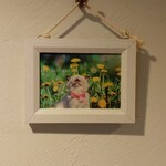 ピザハウス ツクルヨ - 