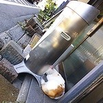 活魚 千葉屋 - 定位置は灰缶うしろ看板猫