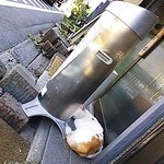 Katsugyo Chibaya - 定位置は灰缶うしろ看板猫