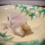 割烹 新多久 - マハタのお造り　爆発的にエネルギッシュな身質と味わい、醤油ですらぶっ飛んじゃうくらい強い