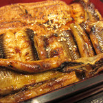 あなごのばかしあい