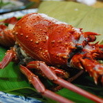 小料理きょうわ - 伊勢海老蒸し(*´∀｀*)