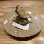 旬菜旬魚 たじま - 