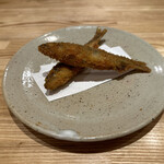 旬菜旬魚 たじま - 