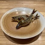 旬菜旬魚 たじま - 