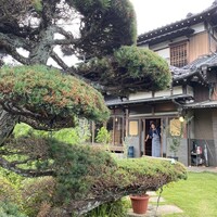 restaurant KAM﻿ - 