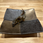 旬菜旬魚 たじま - 