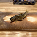 旬菜旬魚 たじま - 