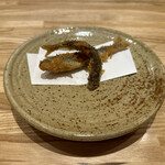 旬菜旬魚 たじま - 