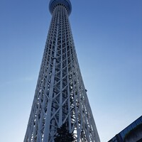 ブラッスリーオザミ 東京スカイツリータウン･ソラマチ店 - 東京スカイツリー。