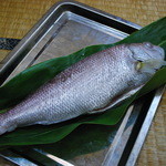 小料理きょうわ - これが貴重なマーマチです