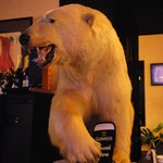 ペンギンのいるダイニングバー沖縄 - 白クマ君は剥製です(o’∀’o)