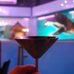 ペンギンのいるダイニングバー沖縄 - ペンギンちゃん見ながらハバナビーチ꒰✩'ω`ૢ✩꒱