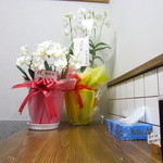 くじら食堂 - お花