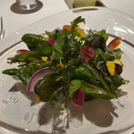 レフェルヴェソンス - アルチザン野菜　49種類