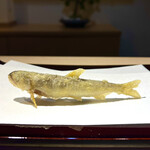 天冨良 銀座 よこ田 - 