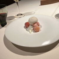 ブレストンコート ユカワタン - 