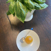 葉山 日影茶屋 - 杏子