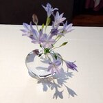 リストランテKubotsu - （2023.6）