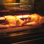 鳥番長 - こんがり日焼け中（2013年7月29日）