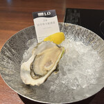 THE CAVE DE OYSTER - 