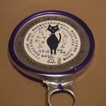 雑魚 - ニャンカップのトップ