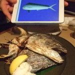 雑魚 - しいらのカブト