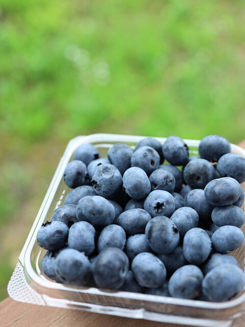 蔵王ブルーベリー農園 レストハウス - 蔵王町その他（カフェ）の写真