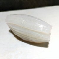 鮨m - 