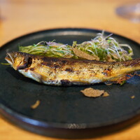 KAI - 鮎