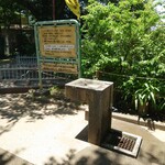 お料理ひろせ - お隣は公園。夏になると目に入ってくる水飲み場。