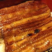 明神下 神田川 本店 - うな重です
