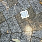 キッチン ブルー グローブ - 市役所をショートカットすると！？ (見つけた場所は枯れ葉が多い所でした)