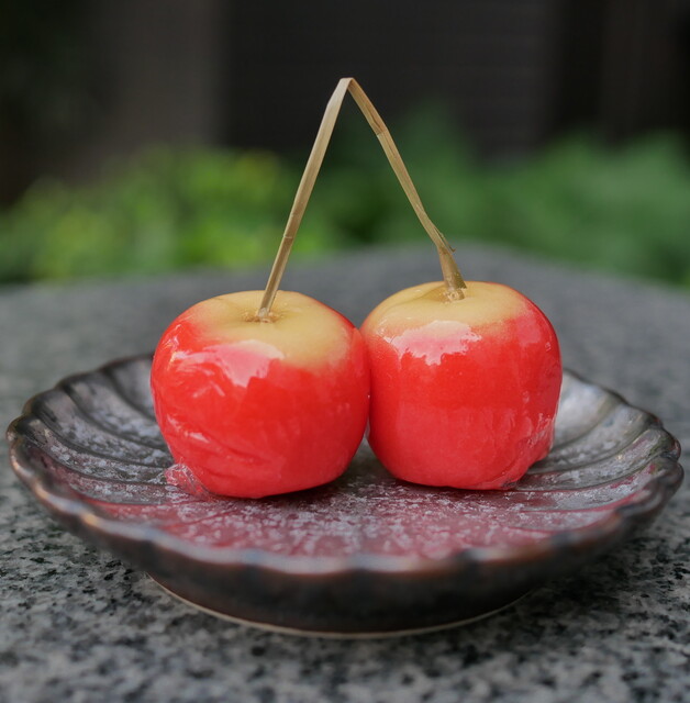 Baika Tei Kagurazaka Honten photo 3