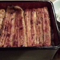 かぐら坂 志満金 - うなぎー