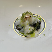 クイントカント - 