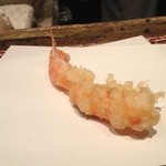 みかわ 是山居 - 車海老