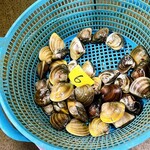 マルヨシ水産 はまぐり屋 - 