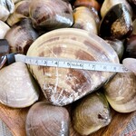 マルヨシ水産 はまぐり屋 - 