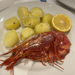 トレ ガッティ - 