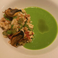 マンサルヴァ - 