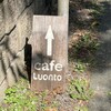 Cafe Luonto - 