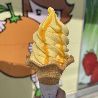 JAみっかび特産物直売所_0